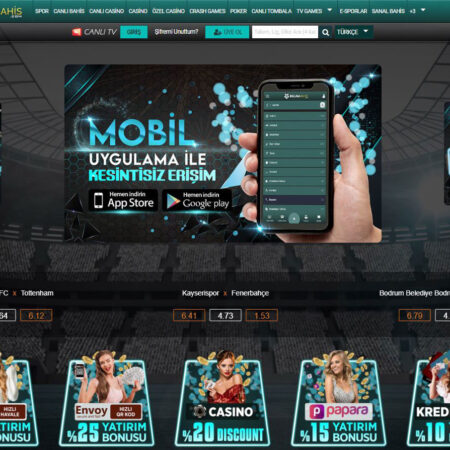 Belugabahis Giriş Adresi